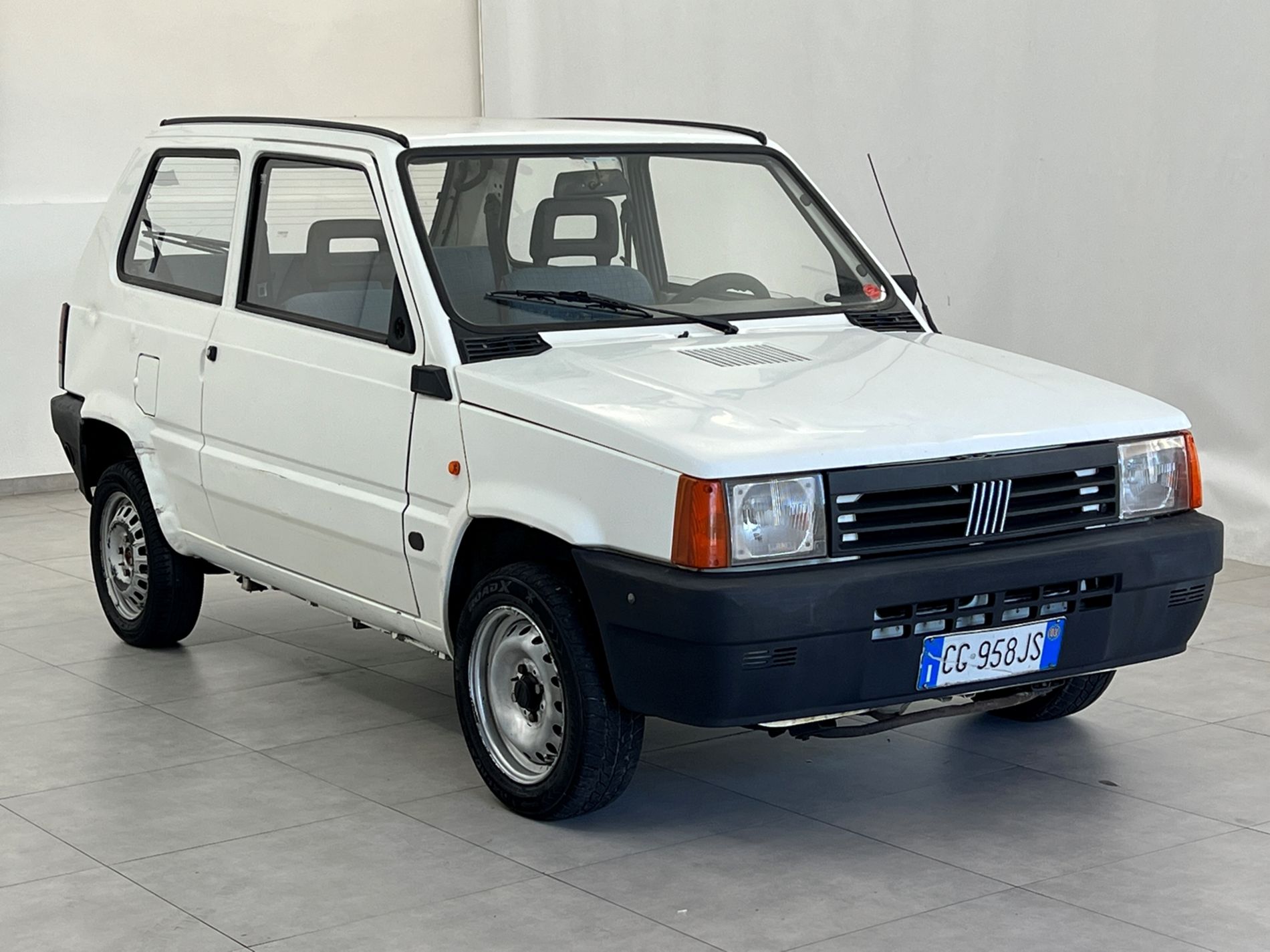 Panda 1.1 Young - Autosani