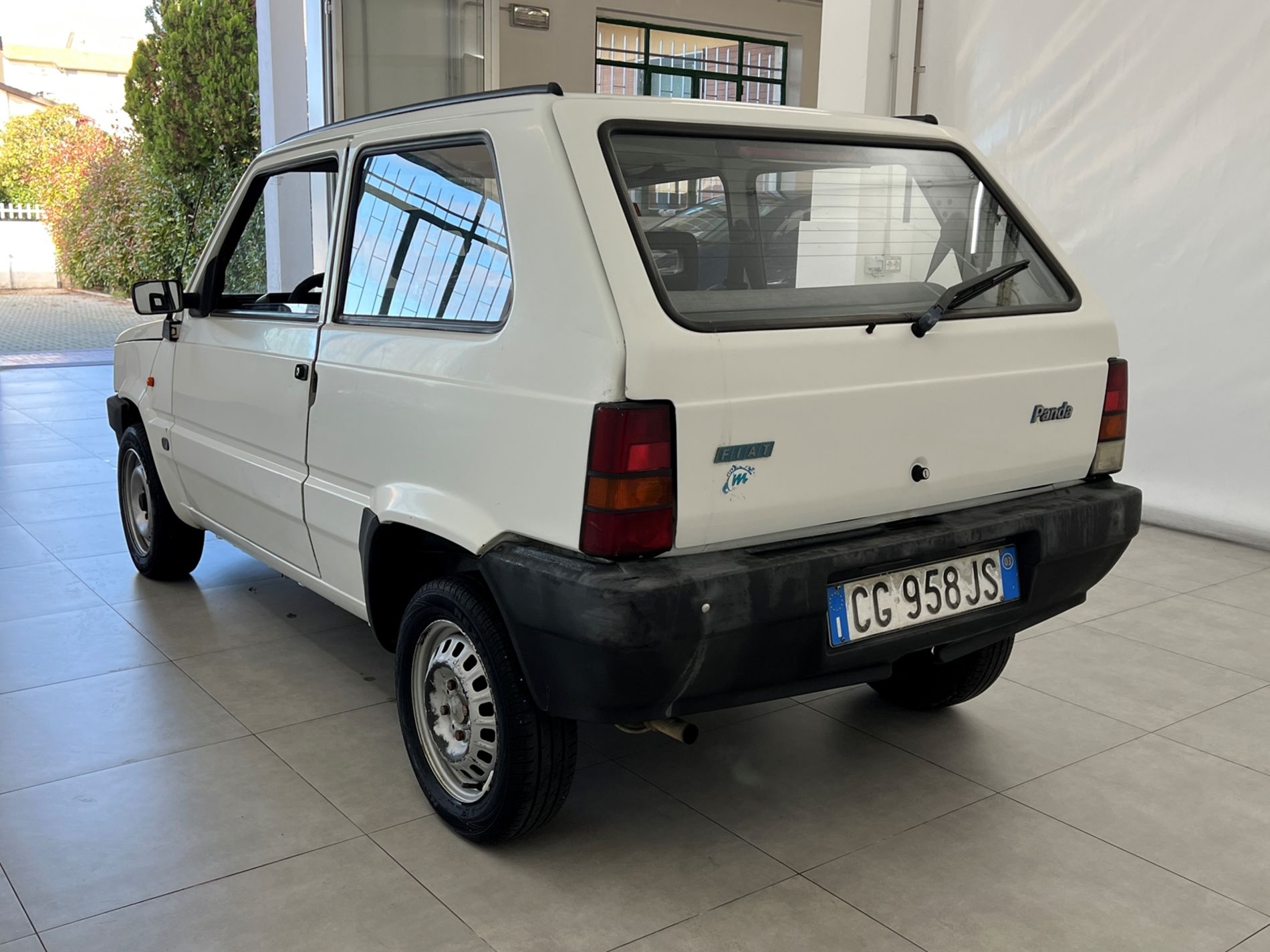 Panda 1.1 Young - Autosani