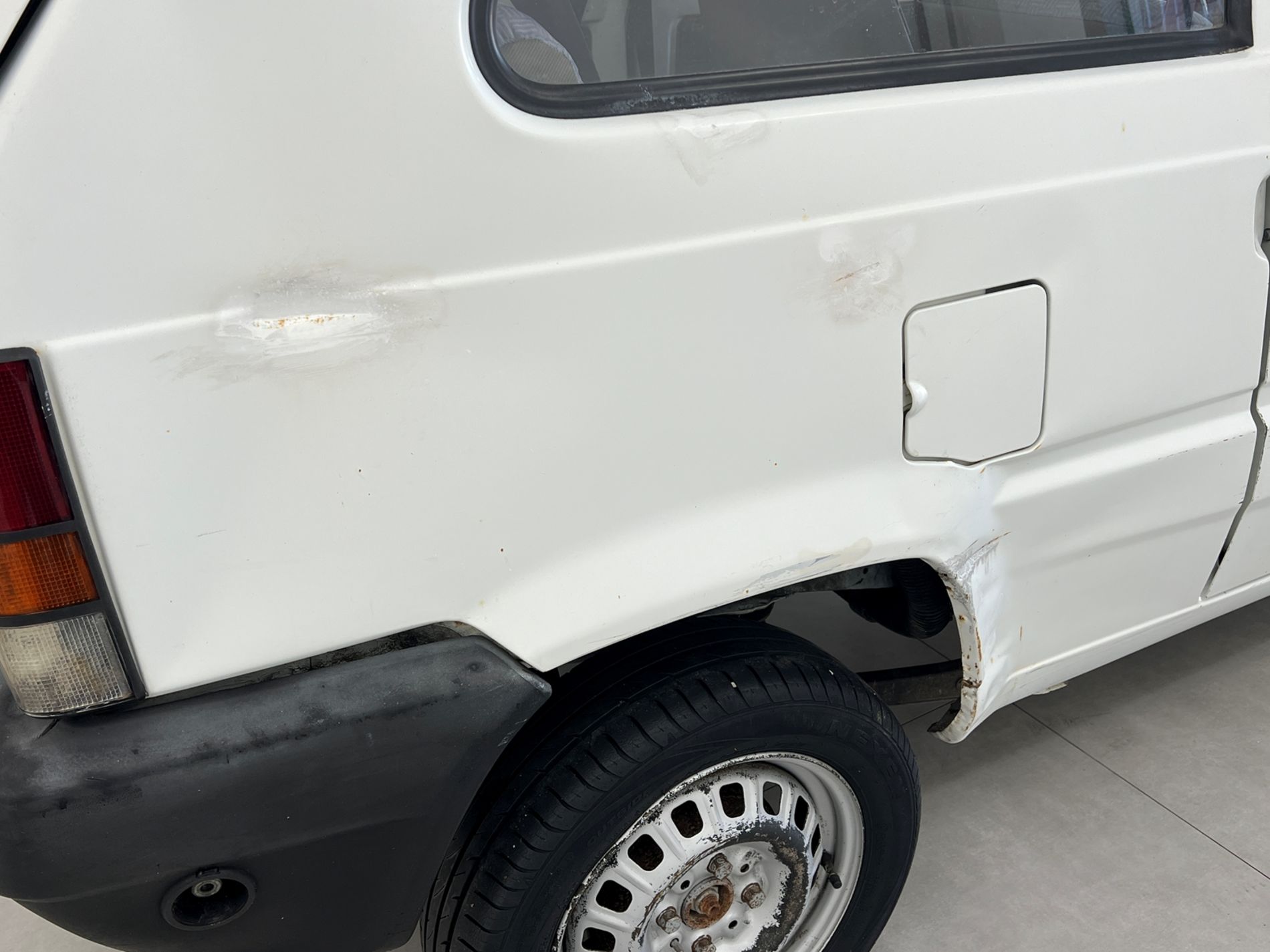 Panda 1.1 Young - Autosani