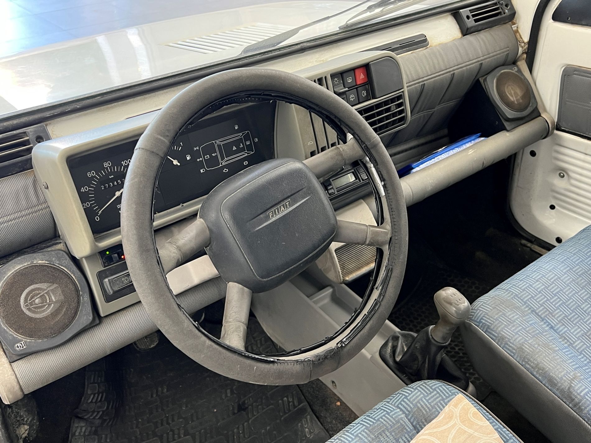 Panda 1.1 Young - Autosani